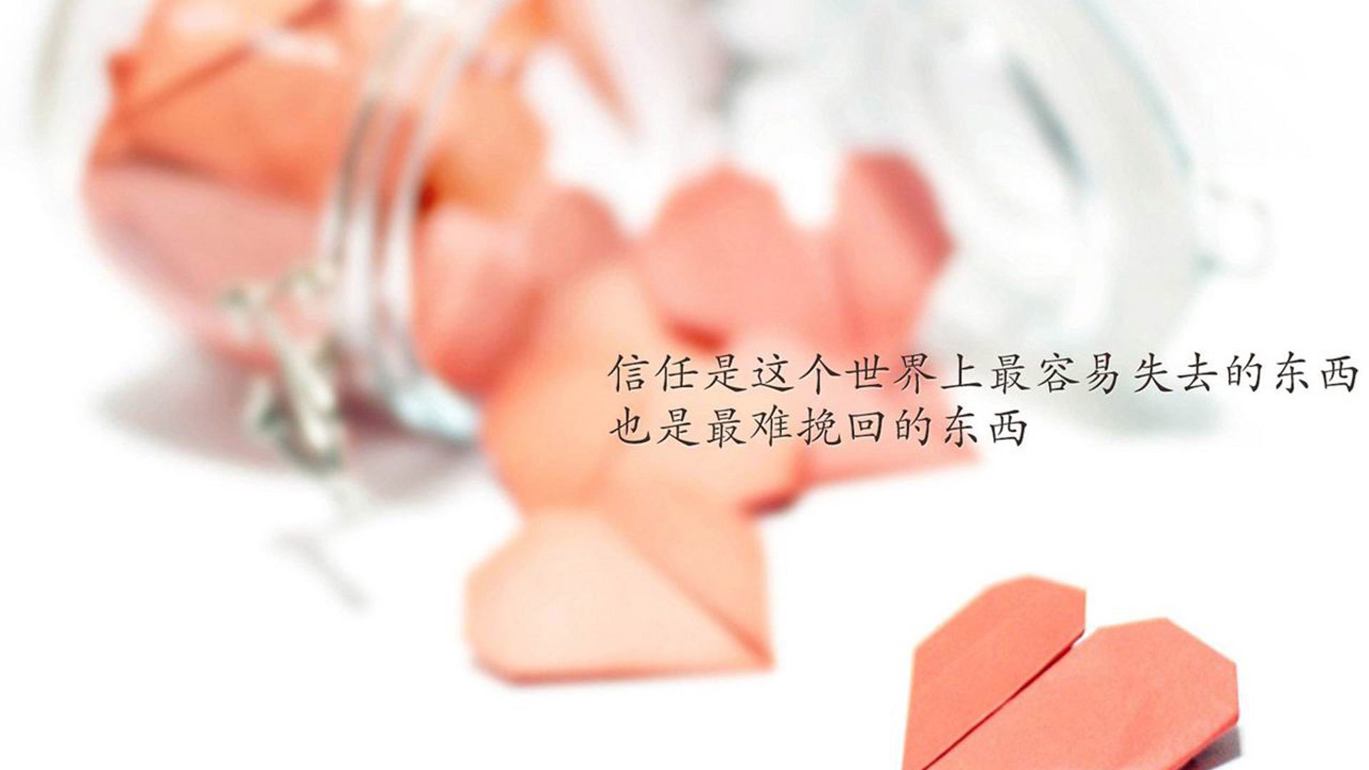 史上最年轻“冠军射手”的崛起之路，最年轻的射箭冠军