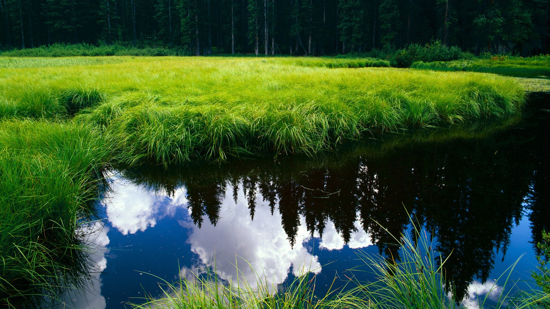 斯图加特中后卫归队,后防线迎来稳固时刻,斯图加特左后卫