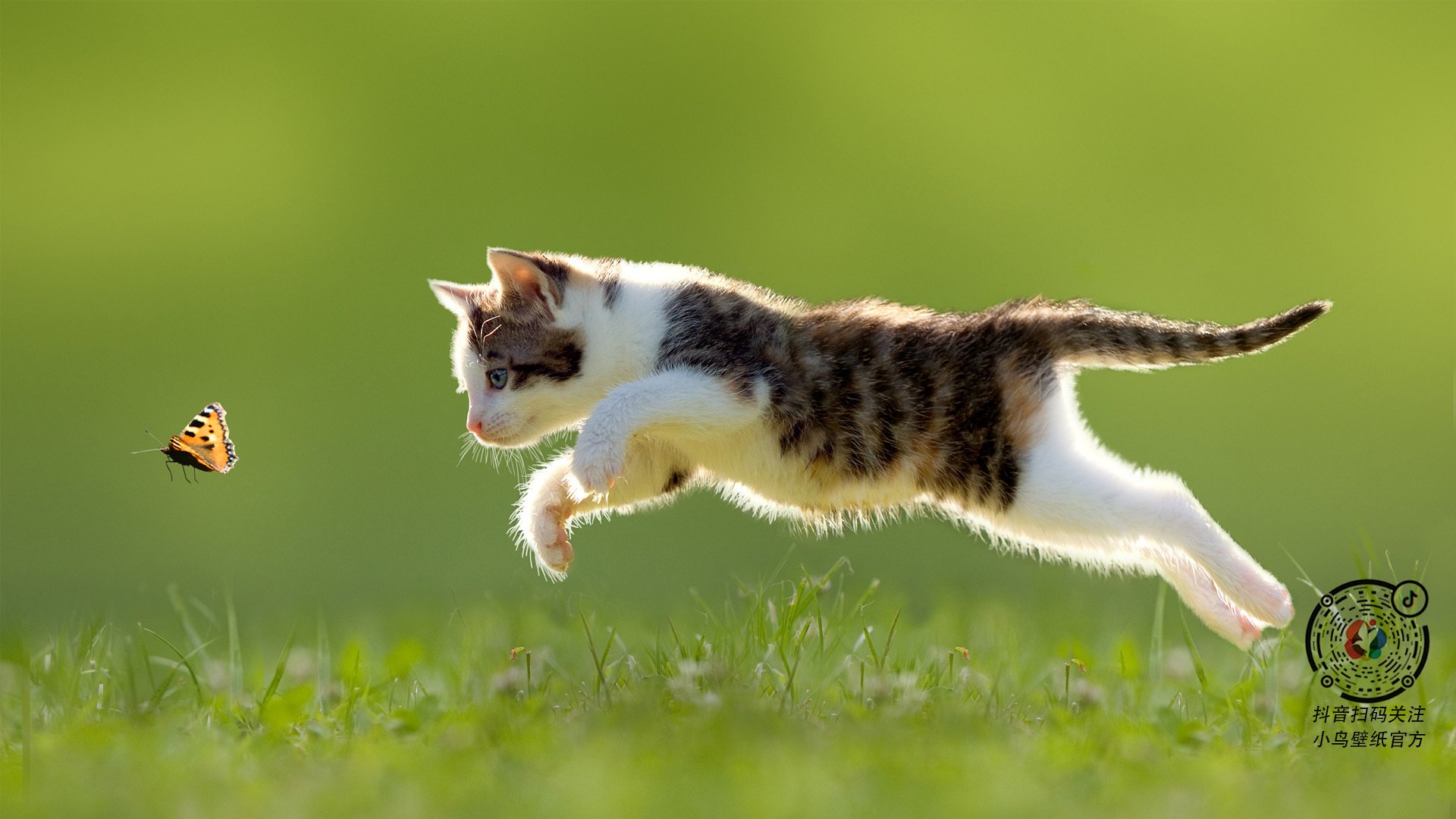 《2025王者荣耀全国联赛，广州战队以微弱差距夺冠》，王者荣耀全国大赛广东省