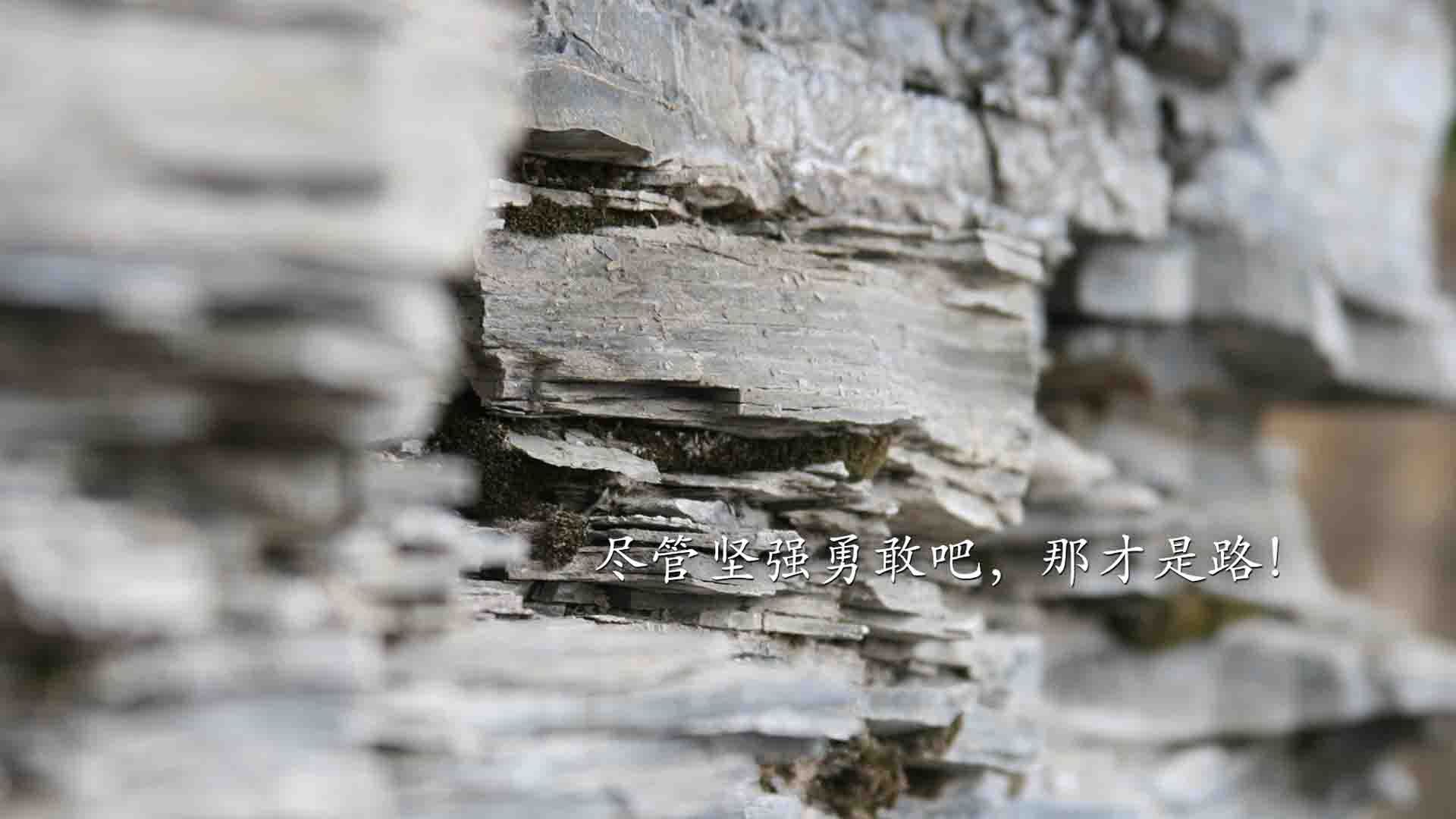 AYX SPORTS-《比拼智慧：策略型游戏成为电竞新宠》，策略游戏比赛