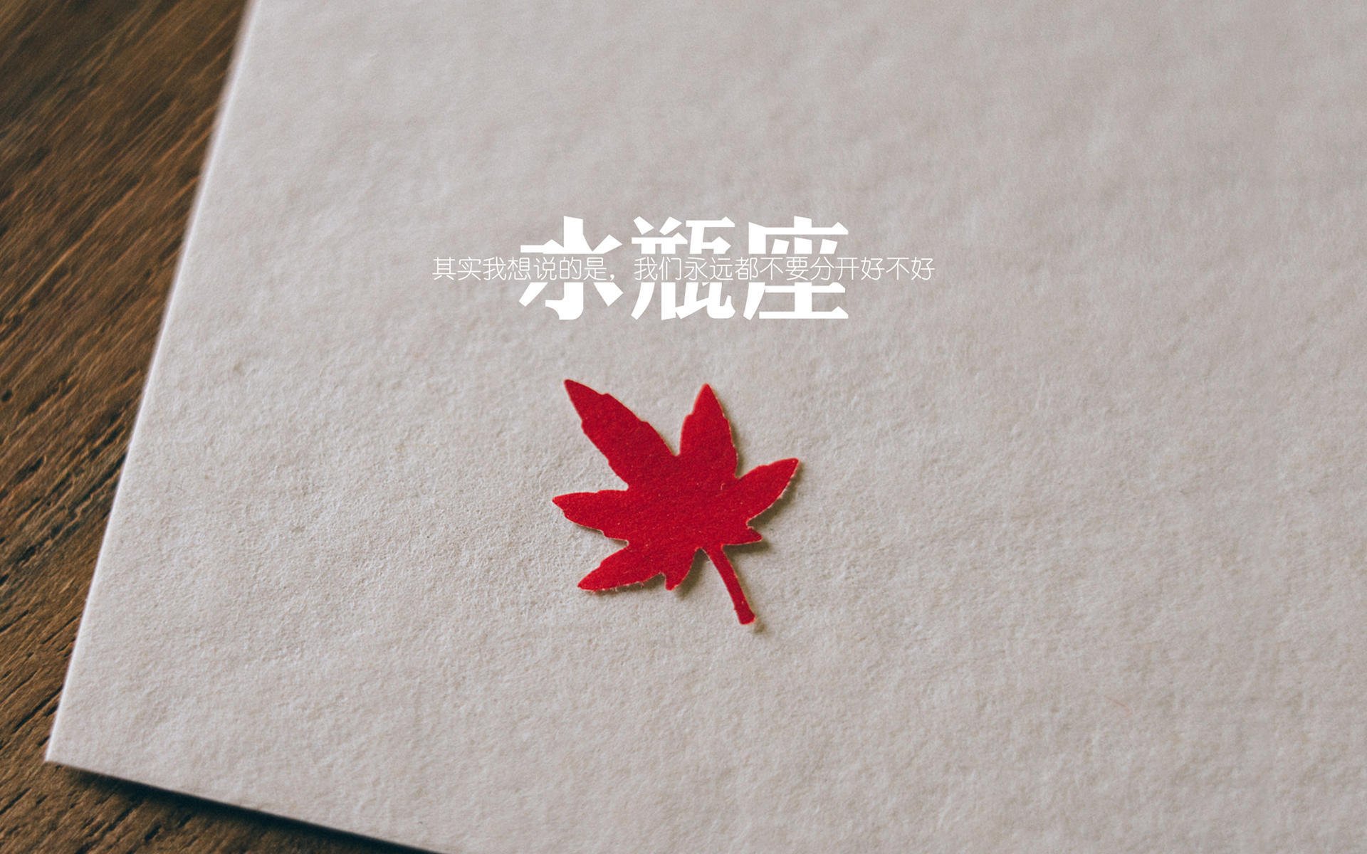 传统水袖舞狮比赛,文化盛宴里的运动魅力