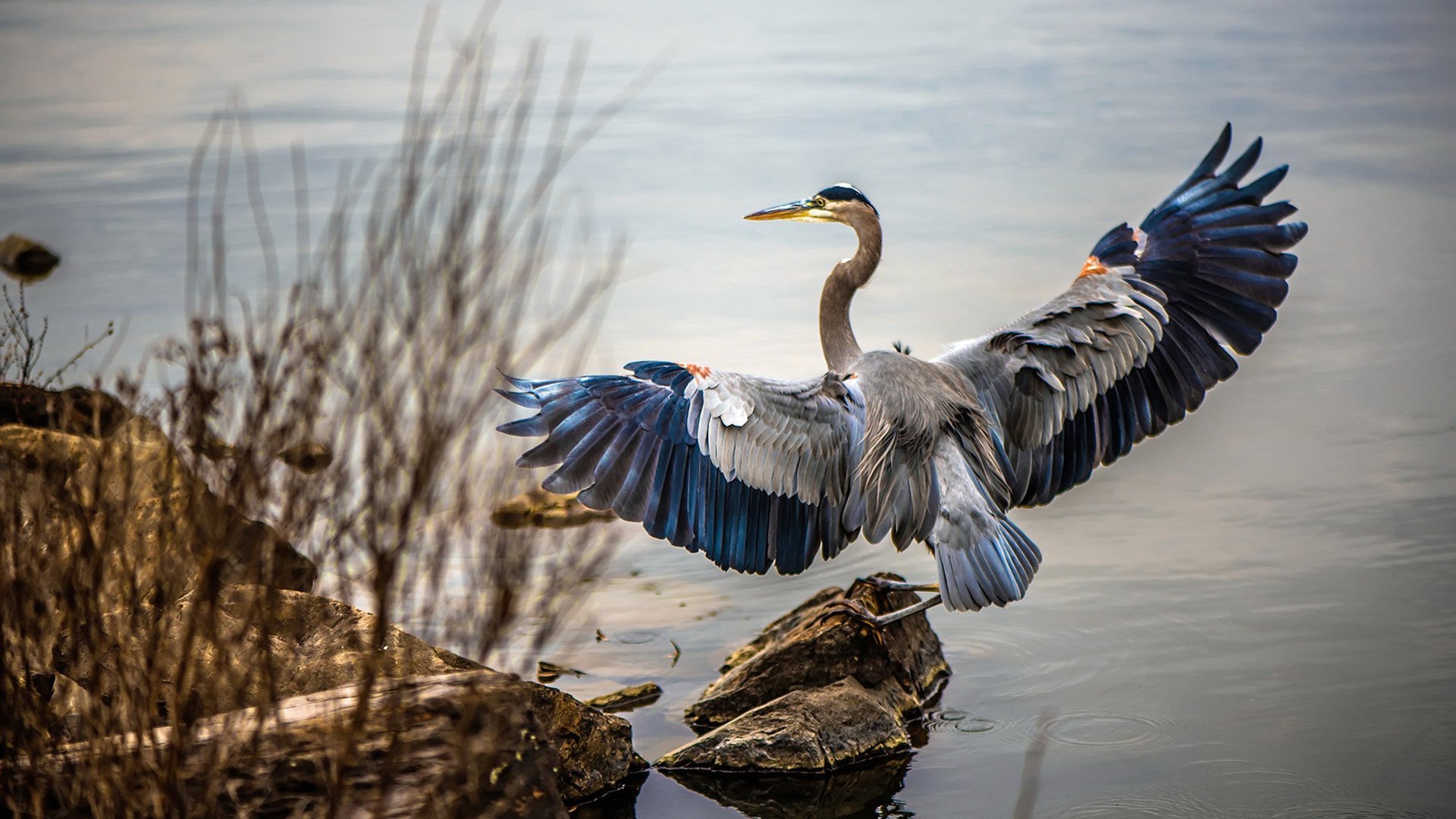 大屏幕上的祝福和呼喊,欧冠夜晚的感人瞬间,欧冠段子