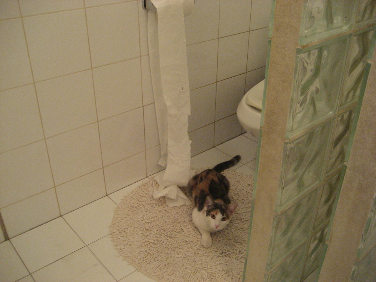 意甲战术灵活变化：不同比赛不同方案，意甲的比赛